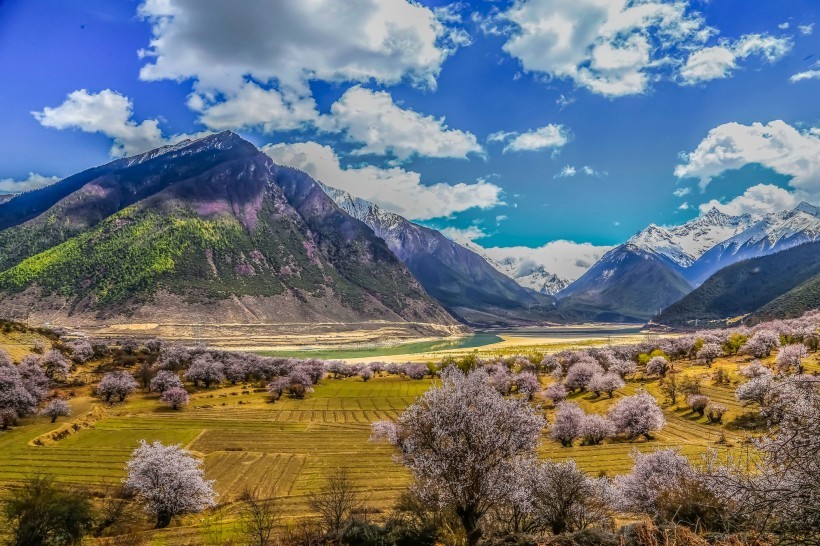 ɫ֥ѩɽ羰ͼƬ