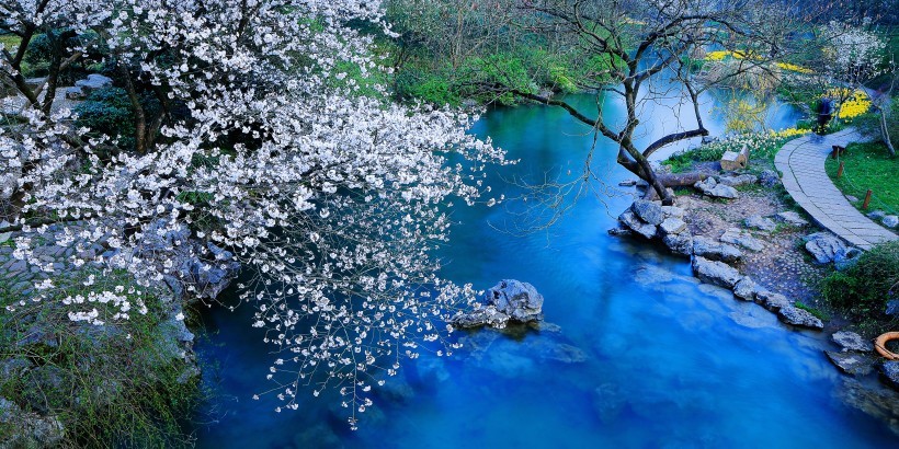 ̫幫԰ľɫͼƬ