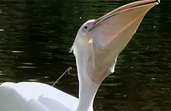 ܸо°ͻͻȻ,ôû