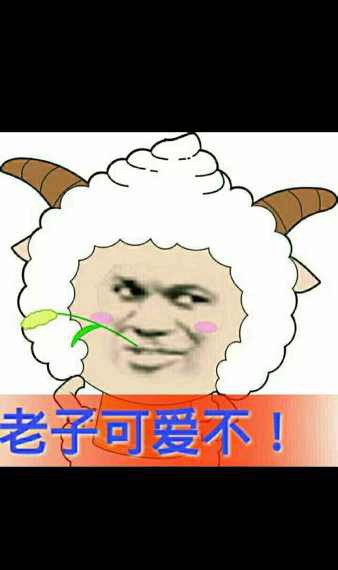 ЦͼƬز