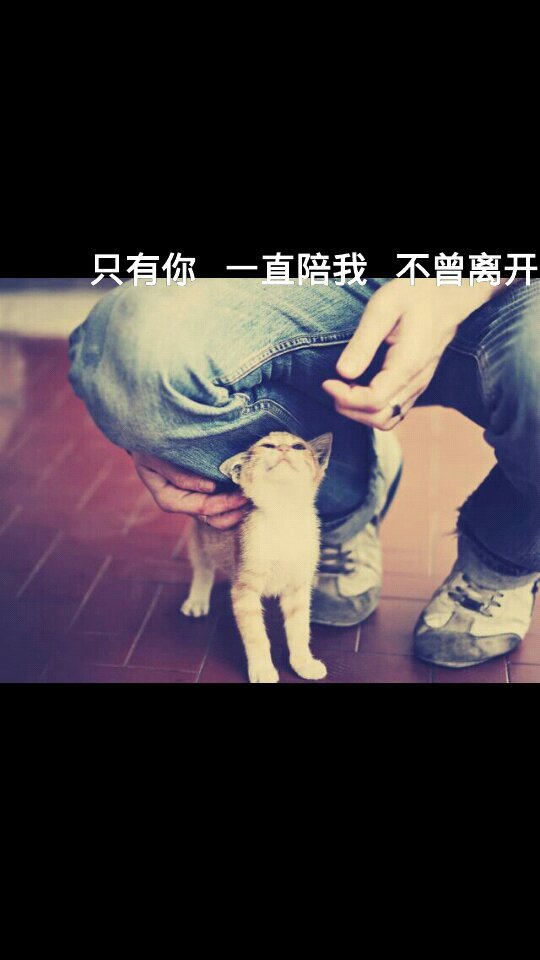 ڵͼƬΨ˸