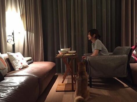 ella�������ع� ��Ȯ���������ػ�����