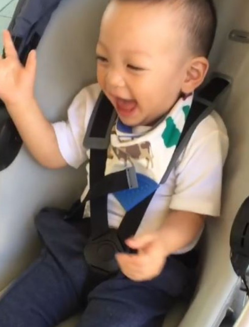 �����u�Ϲ����Ŷ����Ͻ� СV��ȫ�������㵸