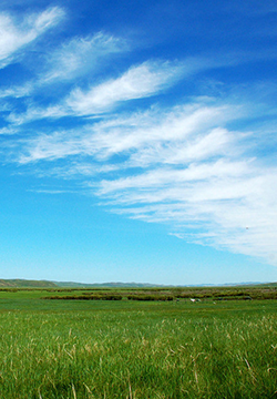 蒙古大草原风景图片素材