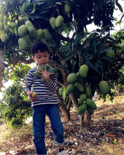 Ҧ��΢��ɹ���Ƕȼ�ժâ�� ż����ʱͬѧȤ�¶�