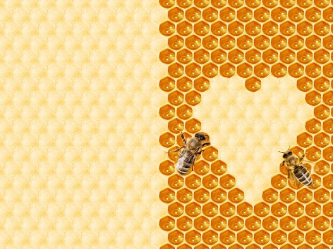ɫη䳲ͼƬȫ