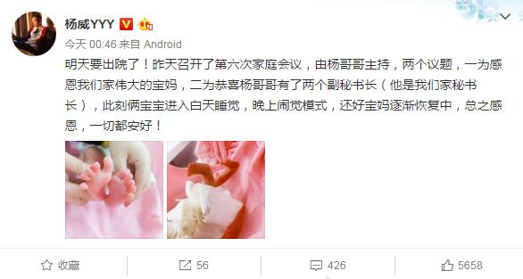 ����΢��ɹ˫��̥��Ѿ�� �ж�һ�ж�����