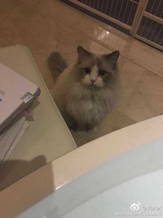 ������������� �������������趺è