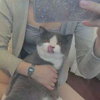 ΨŮͷͼƬ