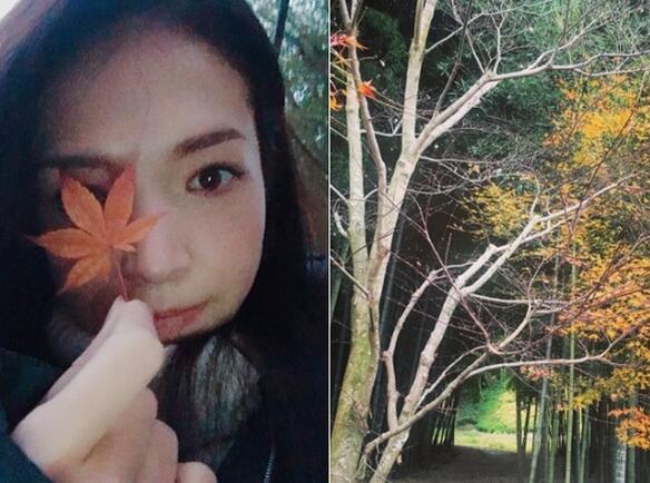 �������ؽܱ���Լ�������ͬ�ξ��� �����ž���ĳ���