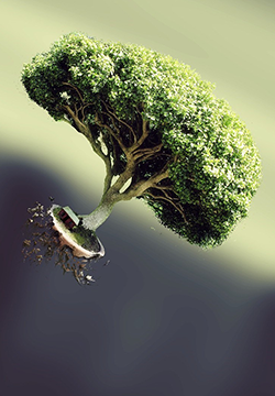 ۱ֽͼƬ