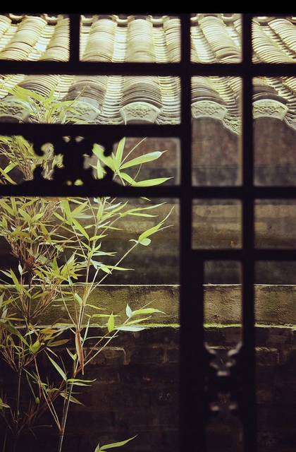 Ψ⾳羰ľͼƬ Ψ⾳羰˸lomoزͼƬ