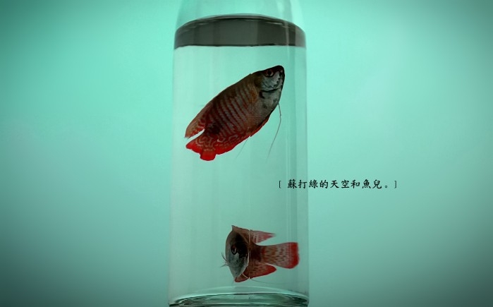 Ψ⾳ͼƬ Ψ⾳˸з羰СͼƬ