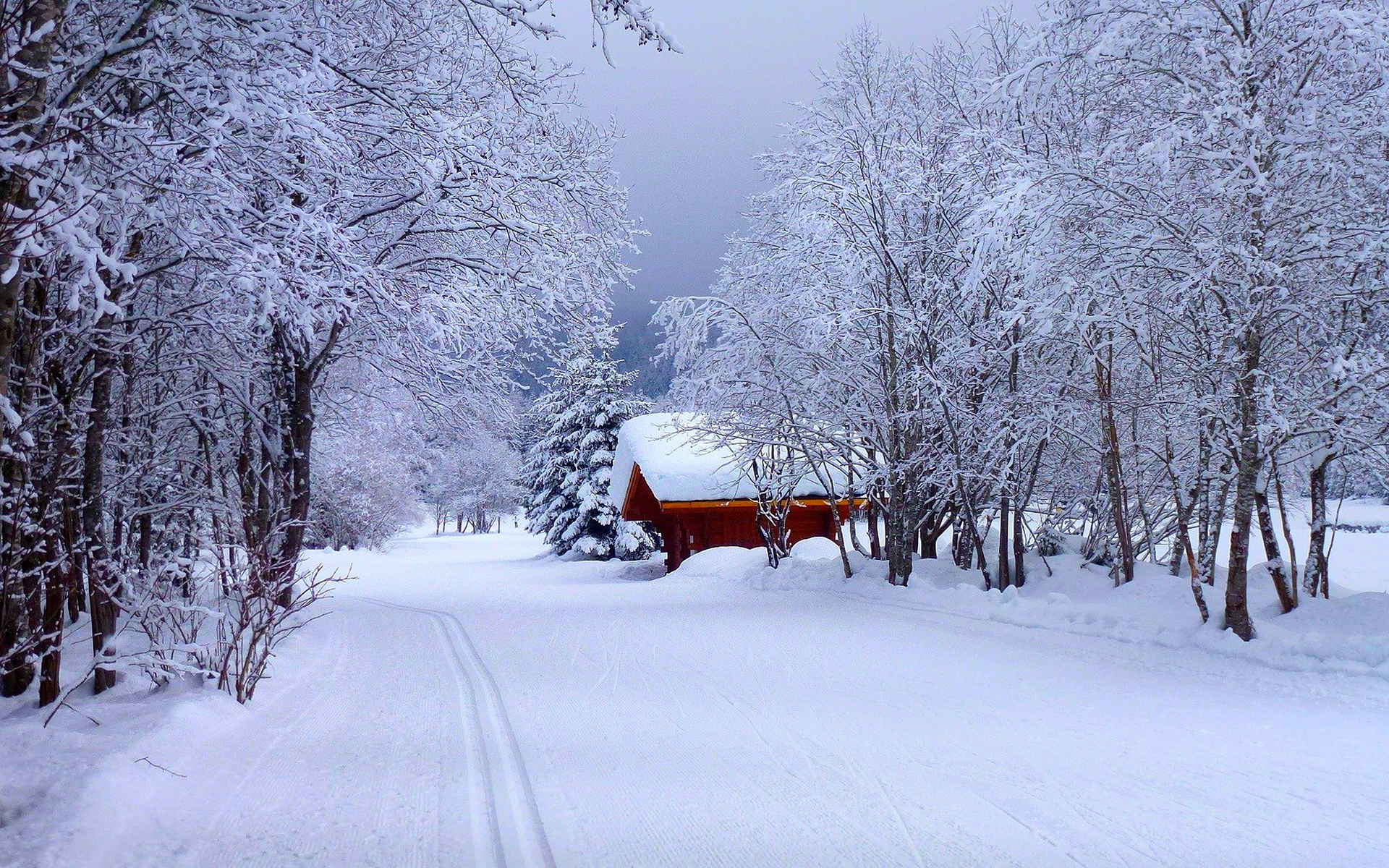 宽屏高清雪景壁纸唯美高清雪景电脑桌面壁纸宽屏下载 唯一图库