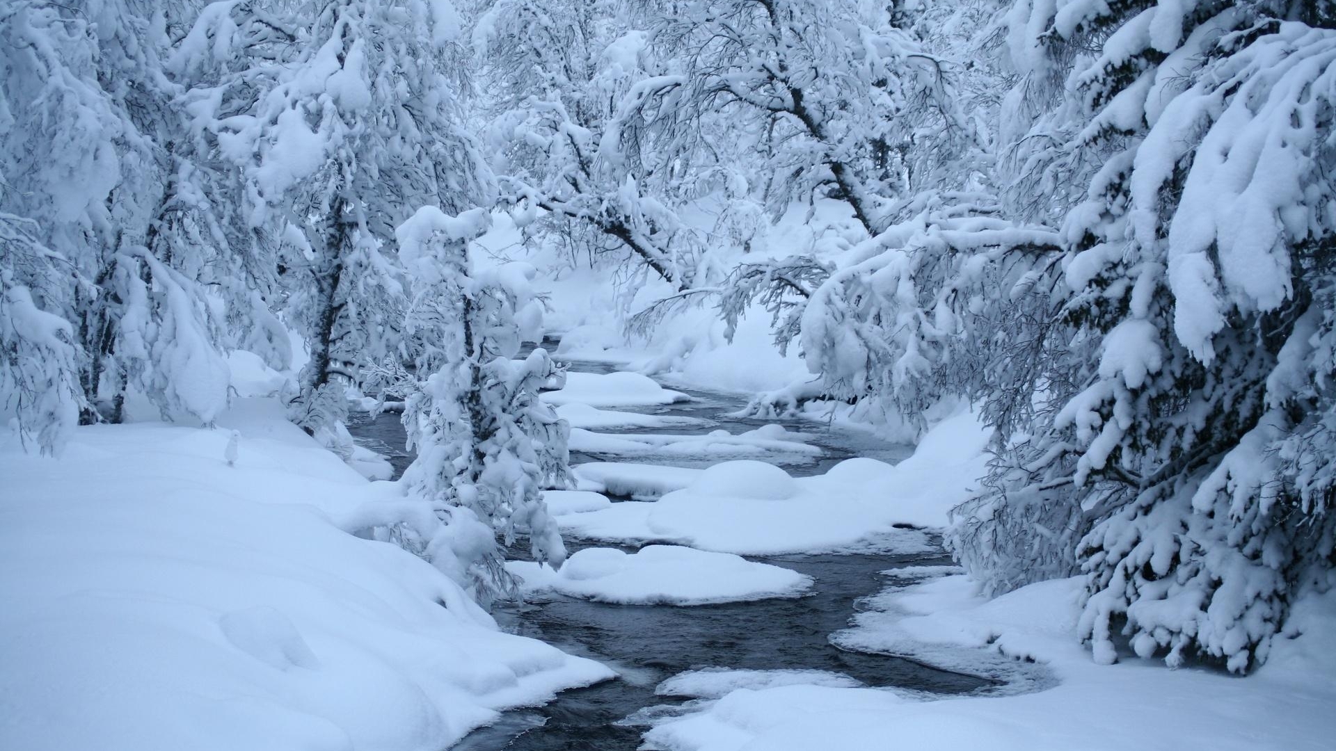 雪景壁纸精选好看的自然风景冬天雪景高清电脑桌面壁纸下载5p 唯一图库