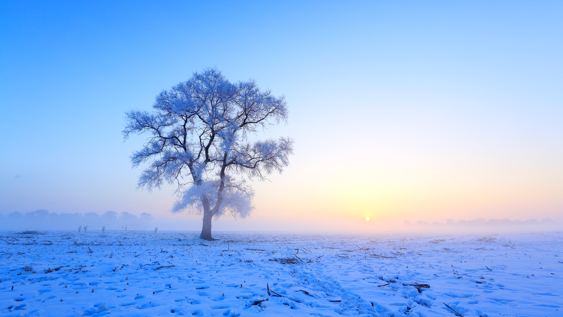 雪景壁纸精选好看的自然风景冬天雪景高清电脑桌面壁纸下载5p 唯一图库