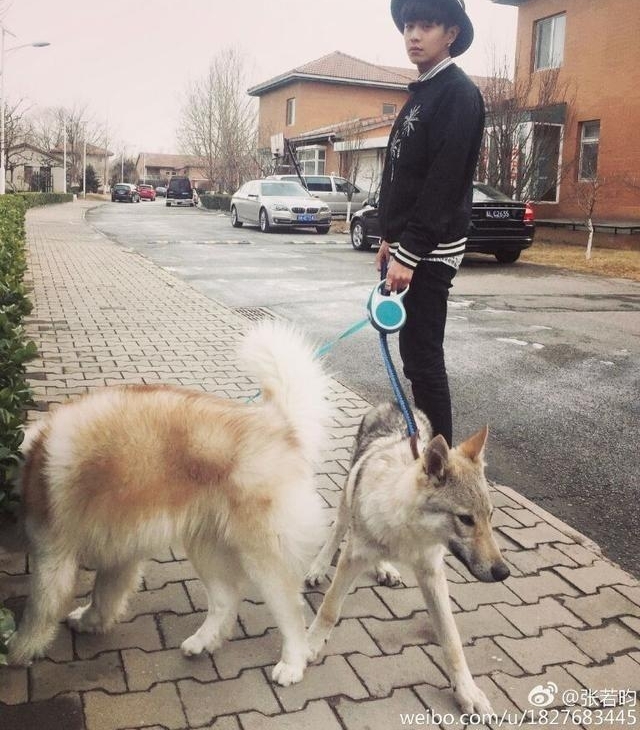 Сϸ֤꿣Ȼĺܶ