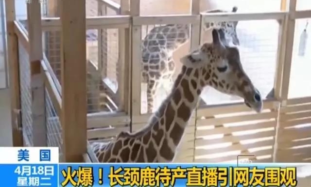 �� | 15�ꡰŮ������ÿ�첻��վ�ž���ɢ�� ������100������Χ��