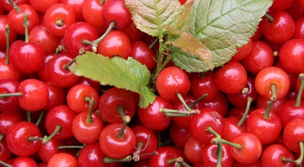 �ɽ��������ӣ�ҽڿ�Ļ����