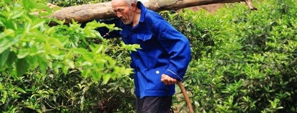 ũ��80�����������ͳ���5��֮�ң�ȳ����Ȣ�˸�����ϱ��