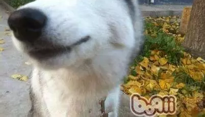 �������и�����ħ��?�ܶ��˷���֤ʵ ����ը����