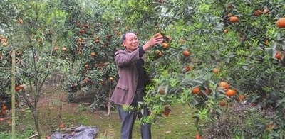 ���ҵ���ƶ·���Ÿ��ף�����־�� ����׷Ѱ��ƶ��
