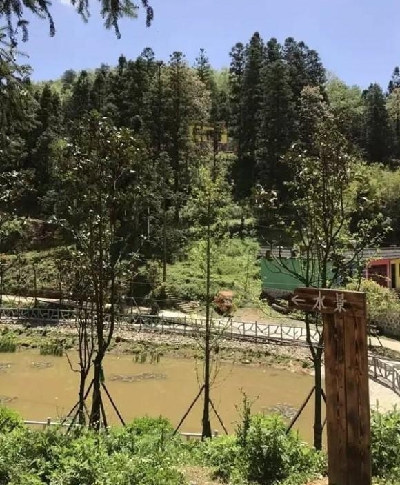 ����ũ�ա�����һ����ʵ�Ĺ���