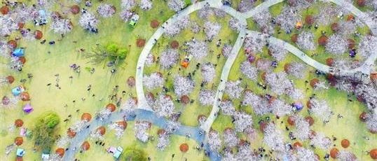 ��ɽ��ӣ��ʢ�硱����������