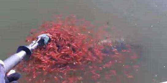 ũ��������㸡��ˮ���һ˲�䣬�����ڳ�����ʧ�����ᣡ