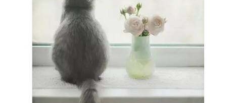 ������110���鷳����һ������