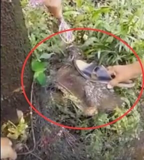 ����ץ�����������������90�������Ҳû������������ʲô