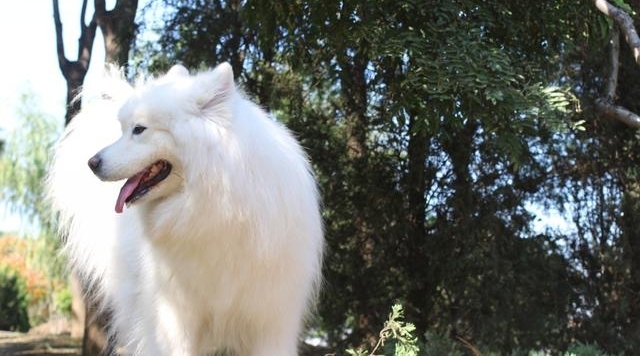 һ���������²��޹������£���������������������Ӻ�ˮ���ݣ�