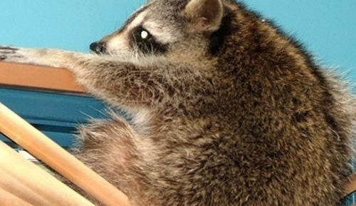 һ�������컨�����˶������ϵ���������С�ɰ�����