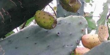 ũ��������������������ȴ����Ϊ���ڷ���ױƷ����Ů��Ҫ���