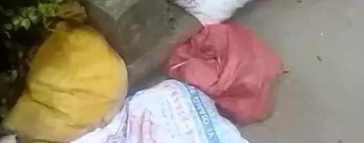 ����һ�����չ���� ���ϱ�����