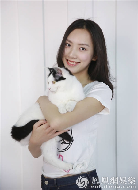 �����չ������Ĵ�ʹ����� ������������칫��糱