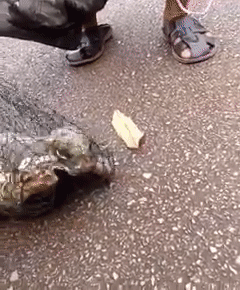 ����ץ�����������������90�������Ҳû������������ʲô