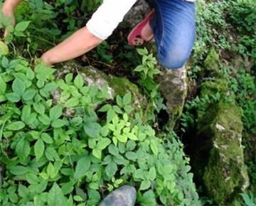 ũ�����˿��еġ����«������ô���������ܳ���