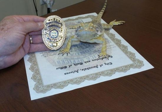 �����յ����澯Ա���ľ�ְ�� ���������Ѳ�ҩ��