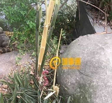 ̫ʹ�ģ�����û��ס��8��Ů����ɥ�˺���ˮ��