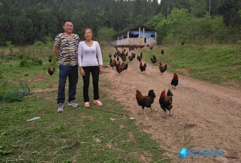 һ����ũ���ޡ�׷���Ҹ�ũׯ���Ρ����߽��������ɷñ���