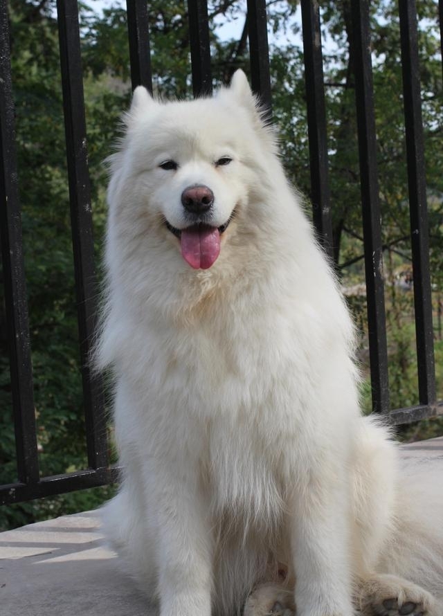 һ���������²��޹������£���������������������Ӻ�ˮ���ݣ�