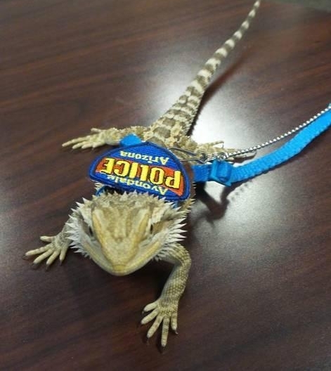 �����յ����澯Ա���ľ�ְ�� ���������Ѳ�ҩ��