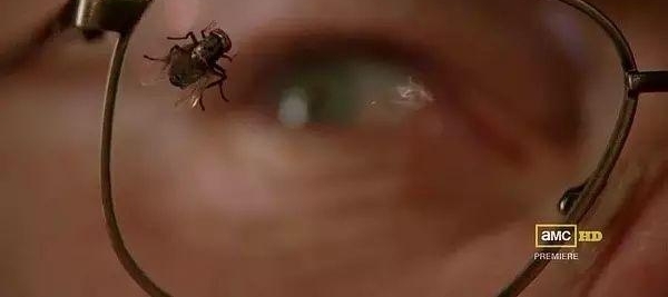 ����9.8����ɧ