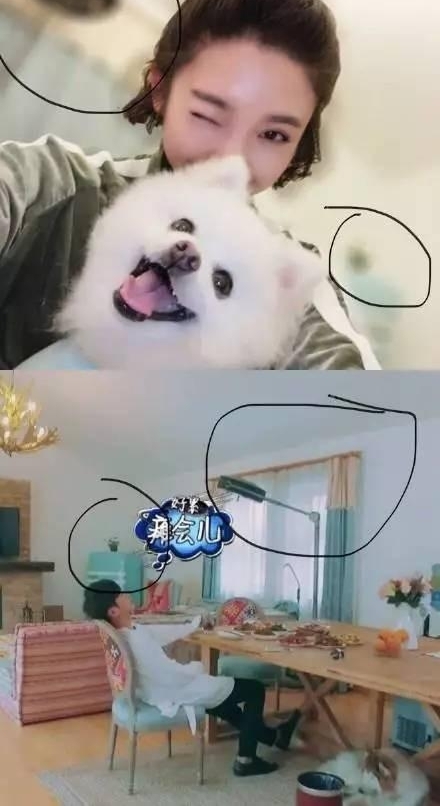 �����������꡷�տ��������ع�������ͬ���е��������£�