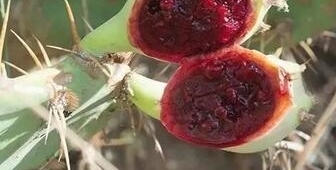 ũ��������������������ȴ����Ϊ���ڷ���ױƷ����Ů��Ҫ���