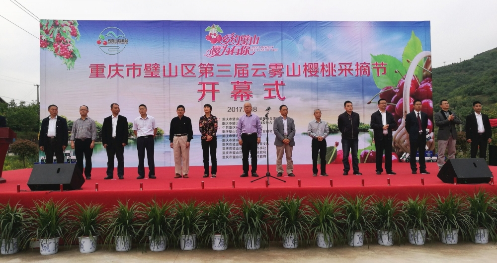 �ɽ��������ӣ�ҽڿ�Ļ����