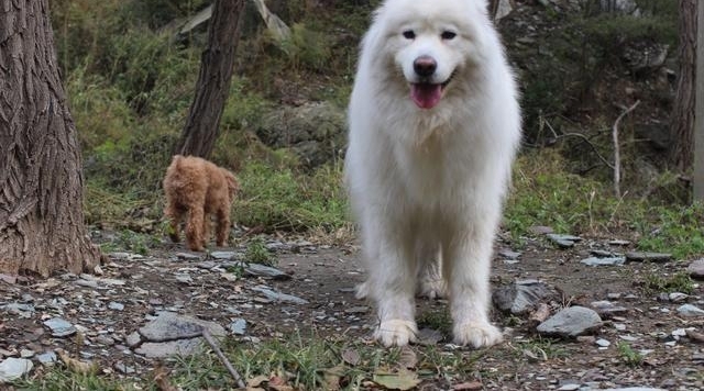 һ���������²��޹������£���������������������Ӻ�ˮ���ݣ�