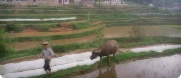 ����ũ�ա�����һ����ʵ�Ĺ���