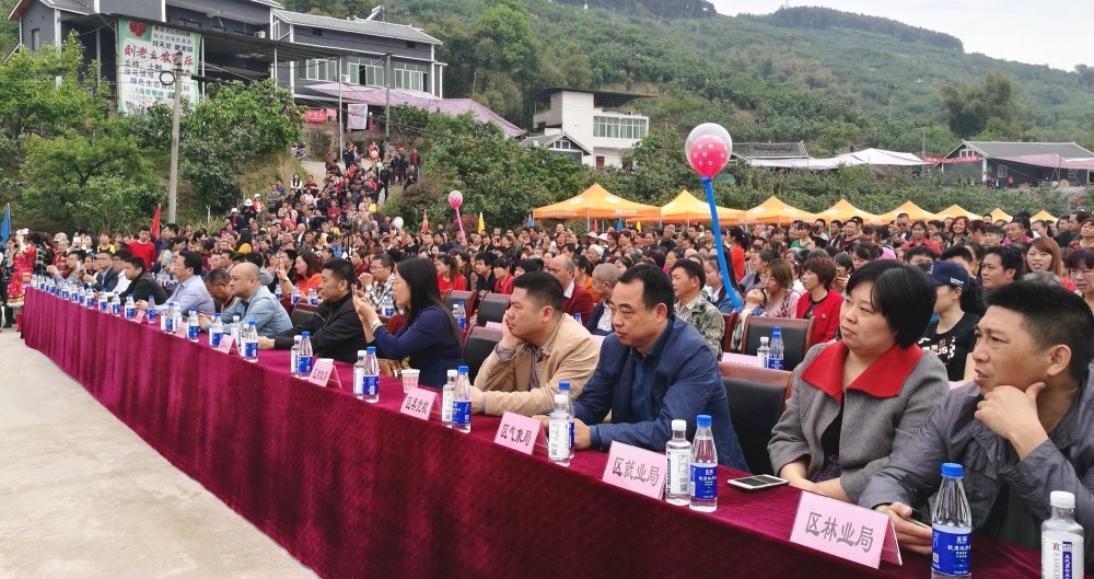 �ɽ��������ӣ�ҽڿ�Ļ����